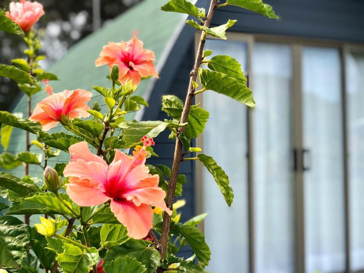 Rangi Moana Villa Hanga Roa Ngoại thất bức ảnh
